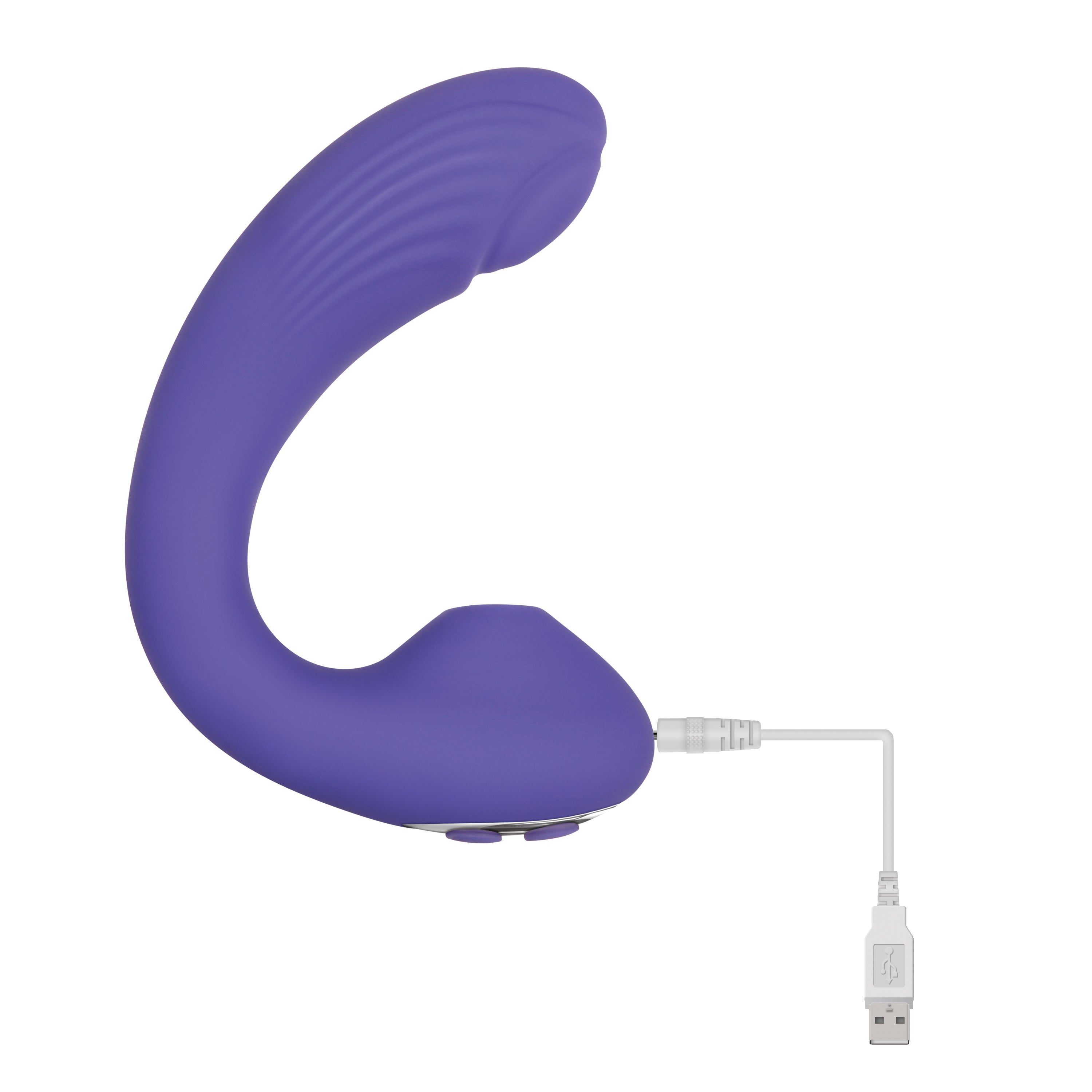 Intrigue The Companion Sucking Vibe