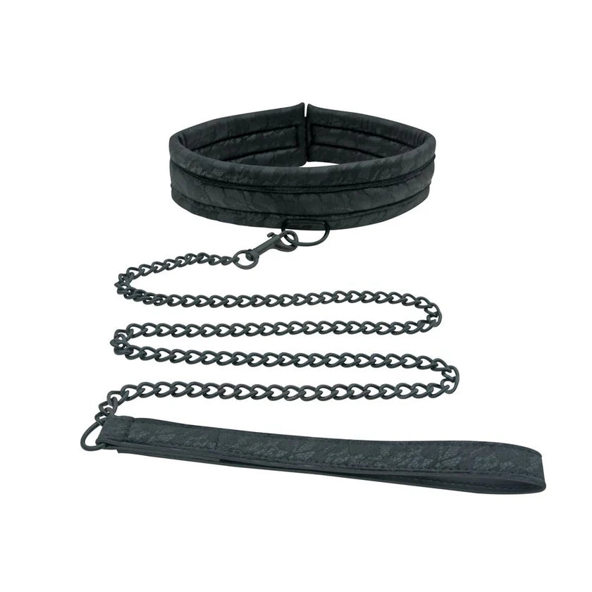 Sincerely Lace Collar and Leash