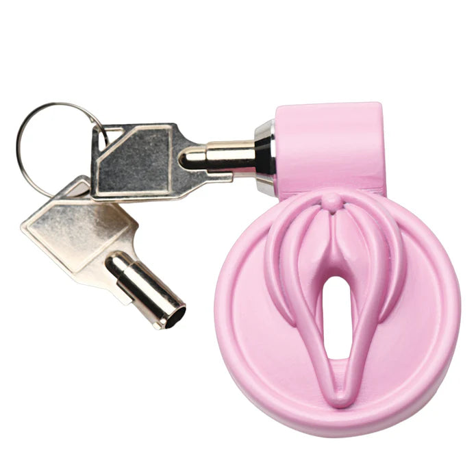 Master Series Pussification Vulva Chastity Cage