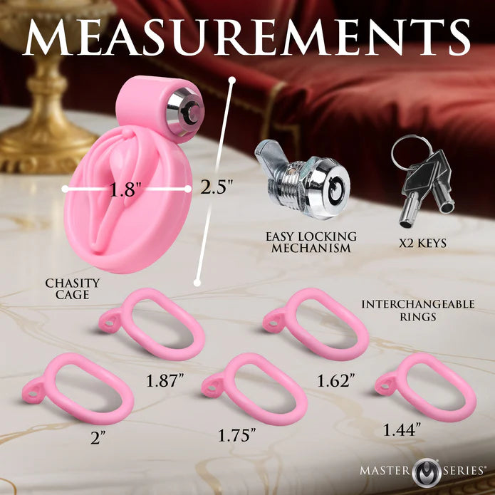 Master Series Pussification Vulva Chastity Cage