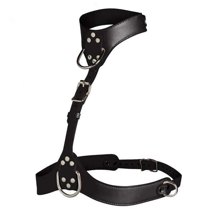 Master Series Vixen Female Chest Harness Black