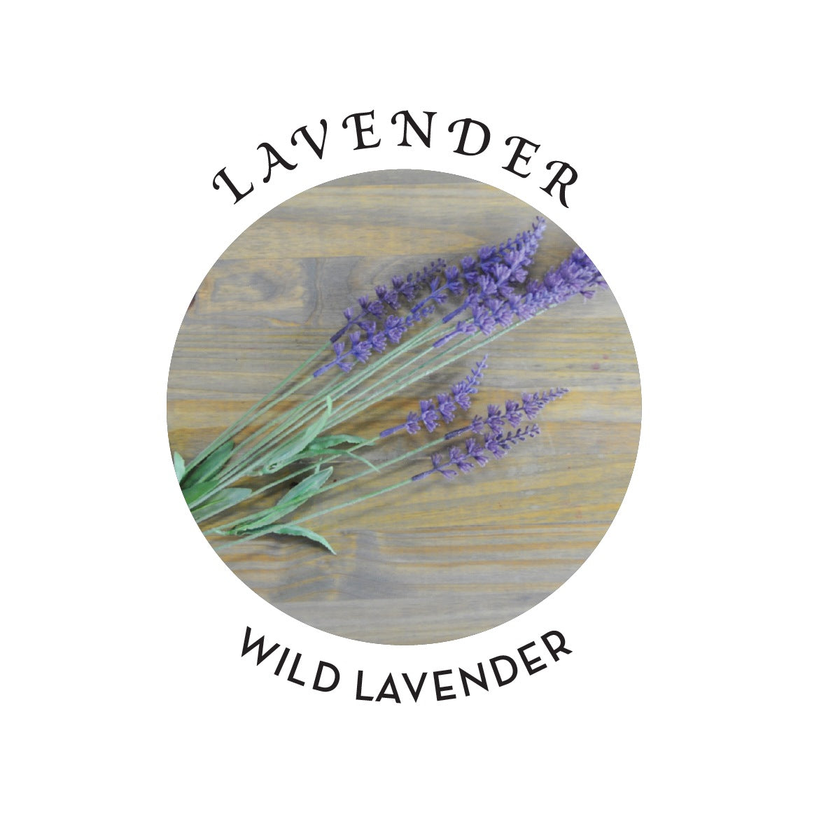 Hemp Seed Massage Lotion 8oz in Lavender