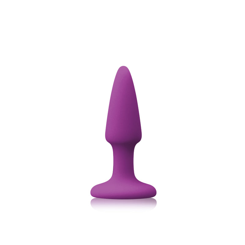 Colors Pleasures Mini Plug in Purple
