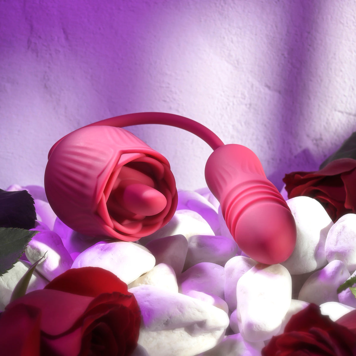 Wild Rose