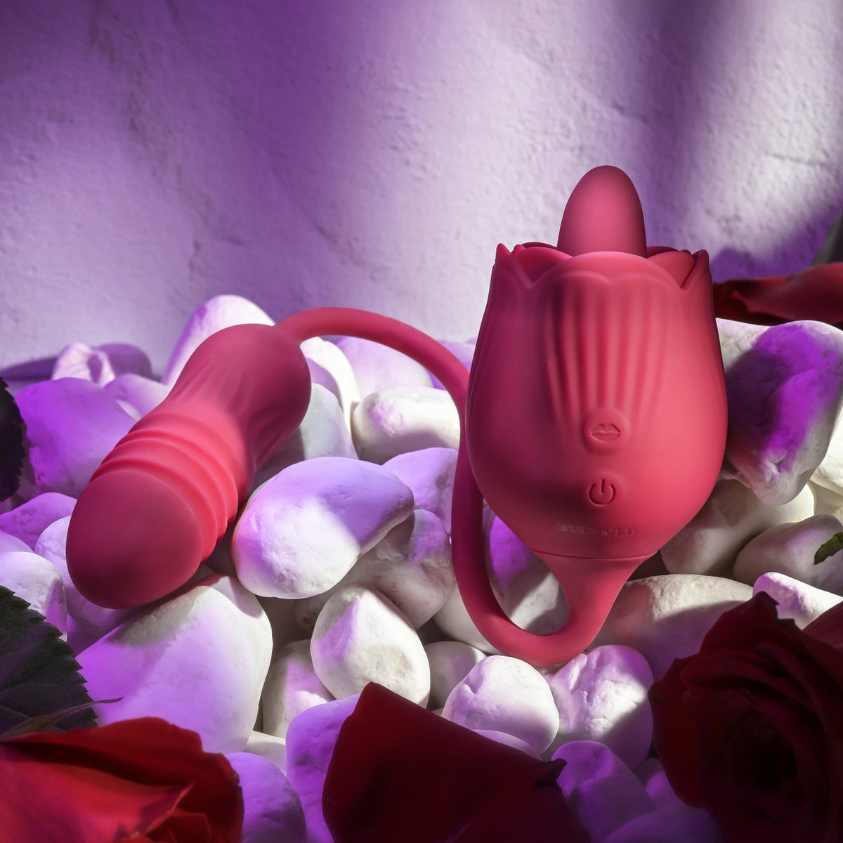 Wild Rose