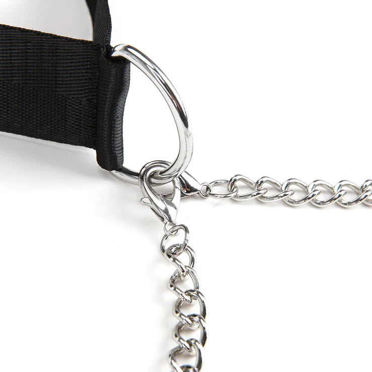Lux Fetish Collar & Nipple Clips