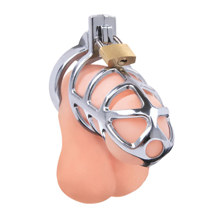 Lockmaster 3.75" Stainless Steel Prisoner Cock Cage