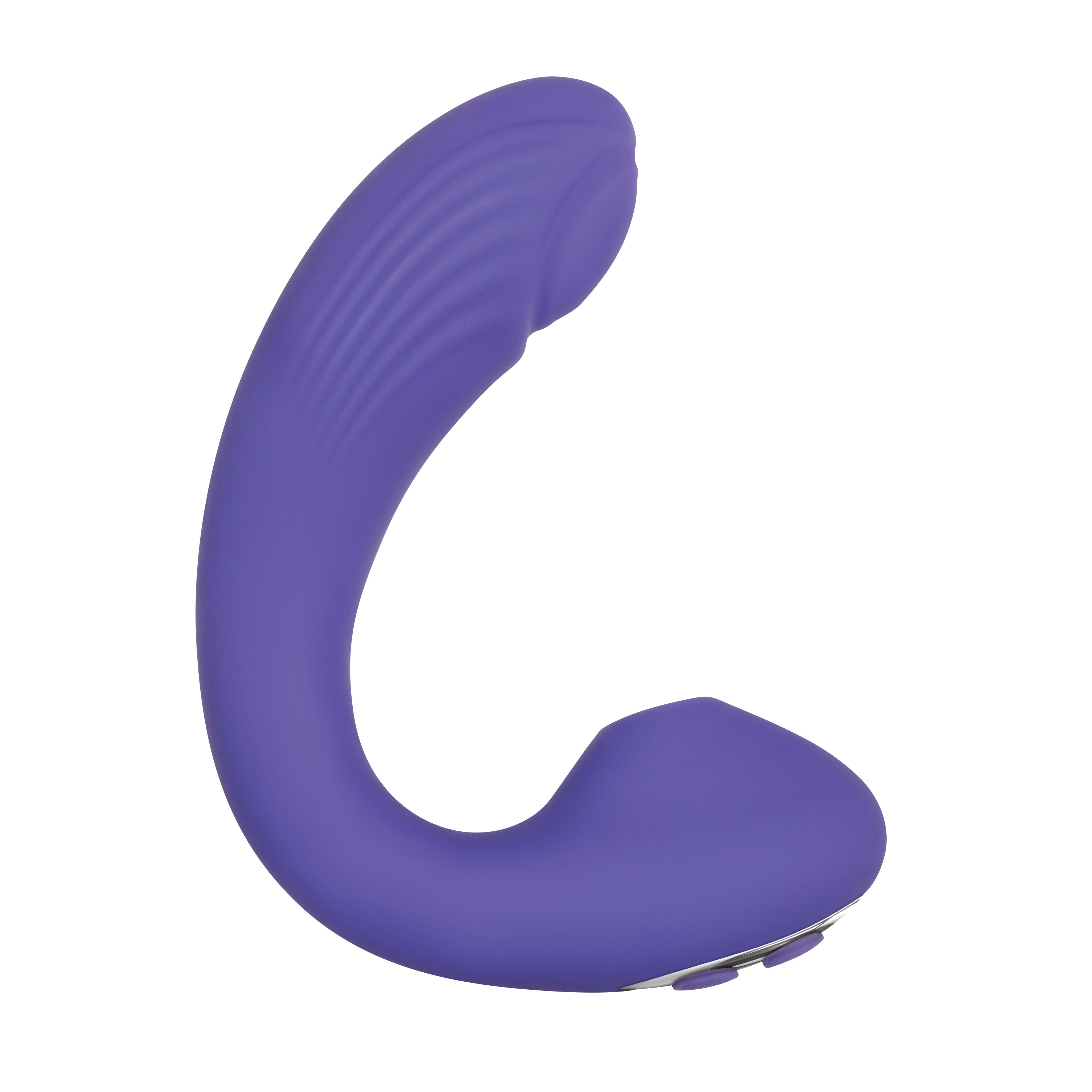 Intrigue The Companion Sucking Vibe