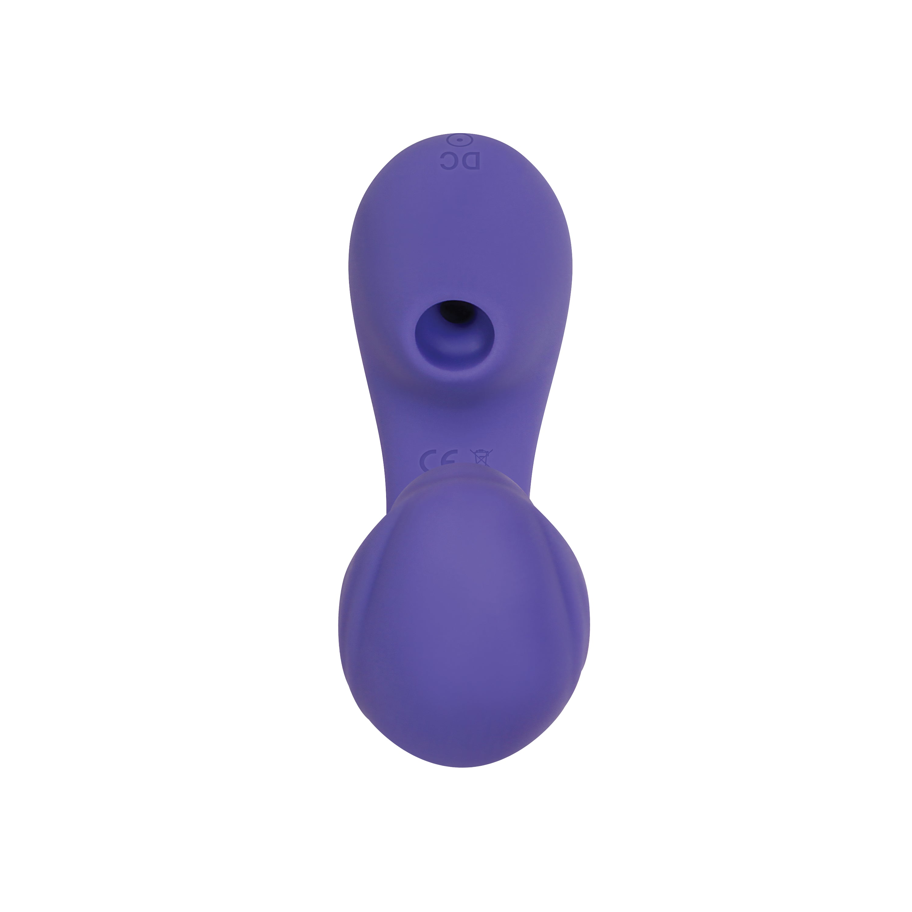 Intrigue The Companion Sucking Vibe