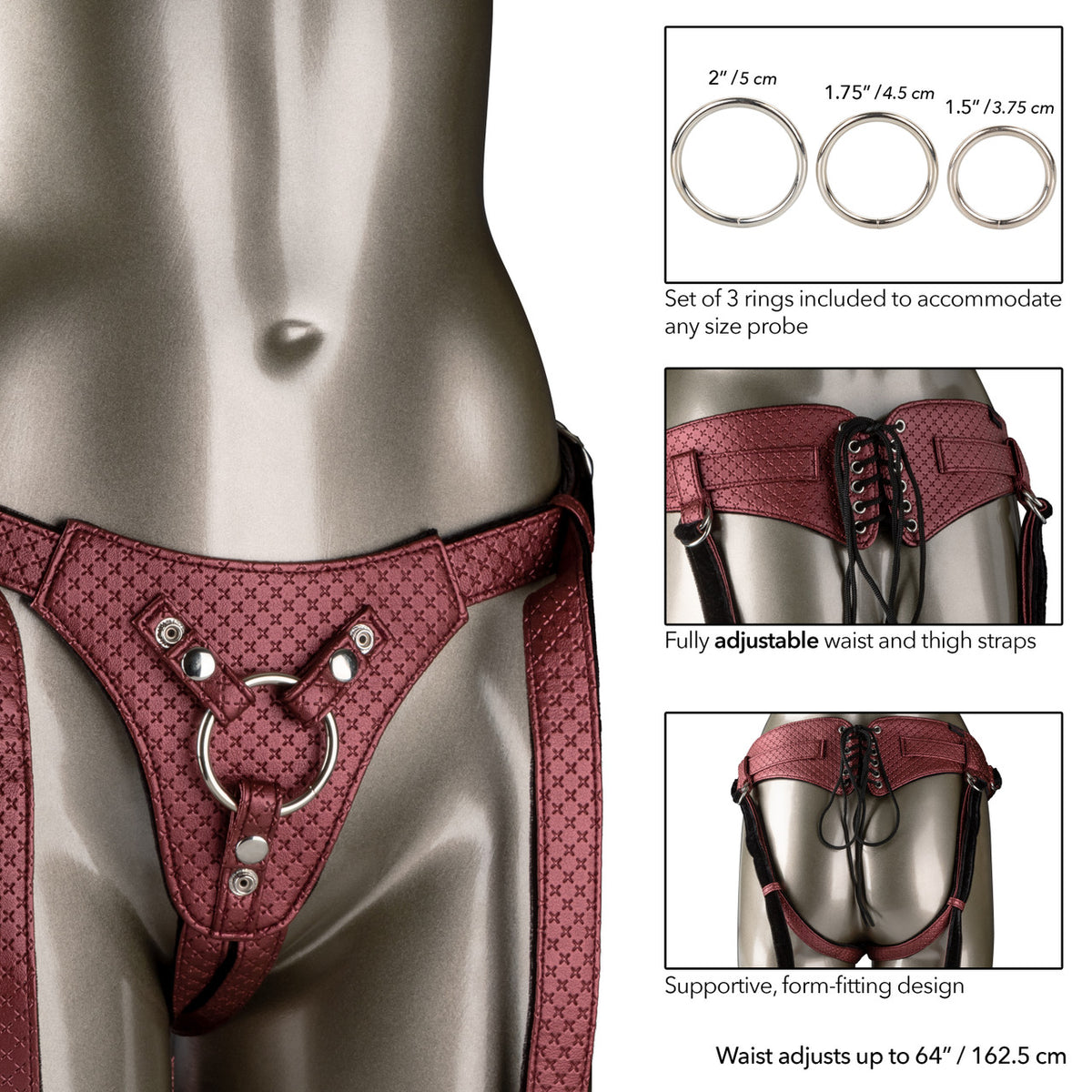 Her Royal Harness The Regal Queen in Red