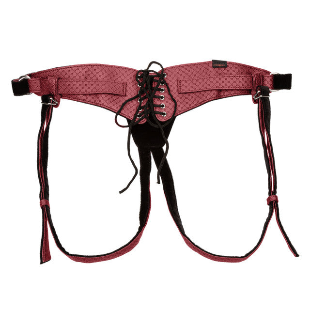 Her Royal Harness The Regal Queen in Red