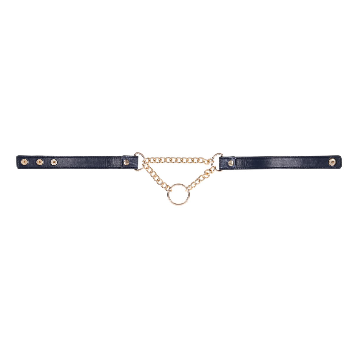 S&M Cougar Day Collar
