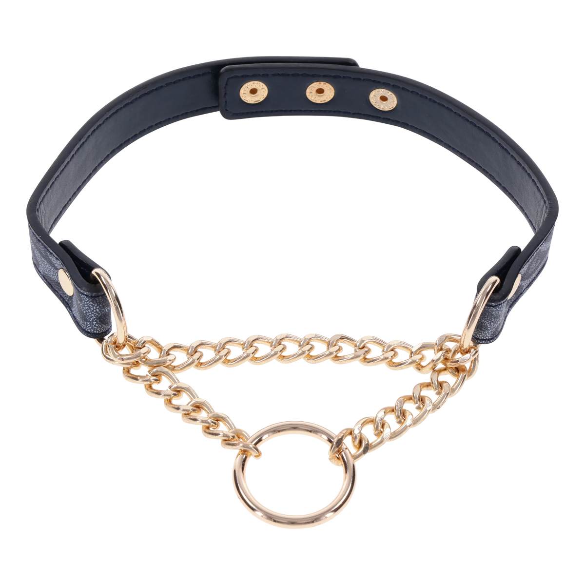 S&M Cougar Day Collar