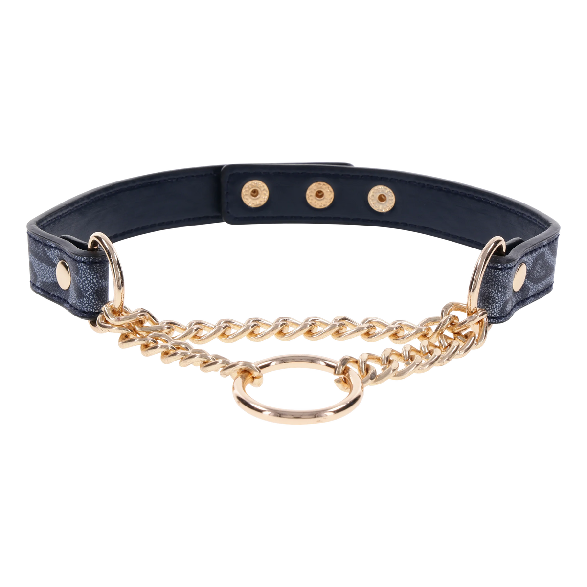 S&M Cougar Day Collar