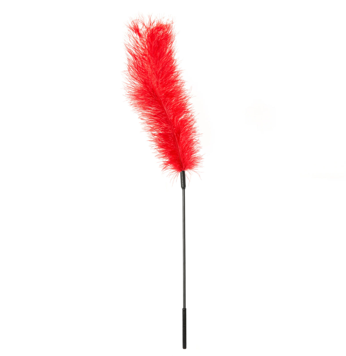 S&M Ostrich Feather Tickler