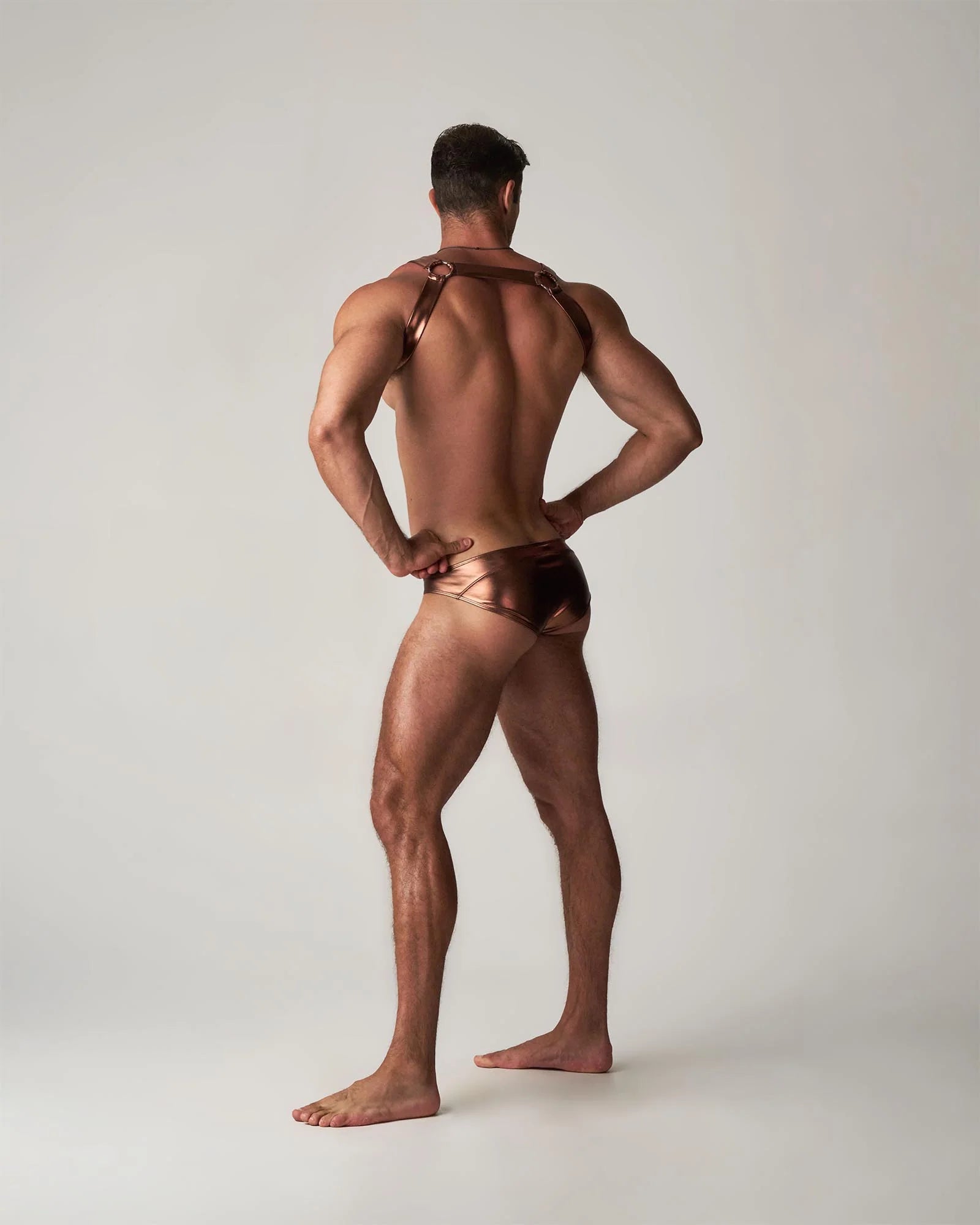 Chrome Harness