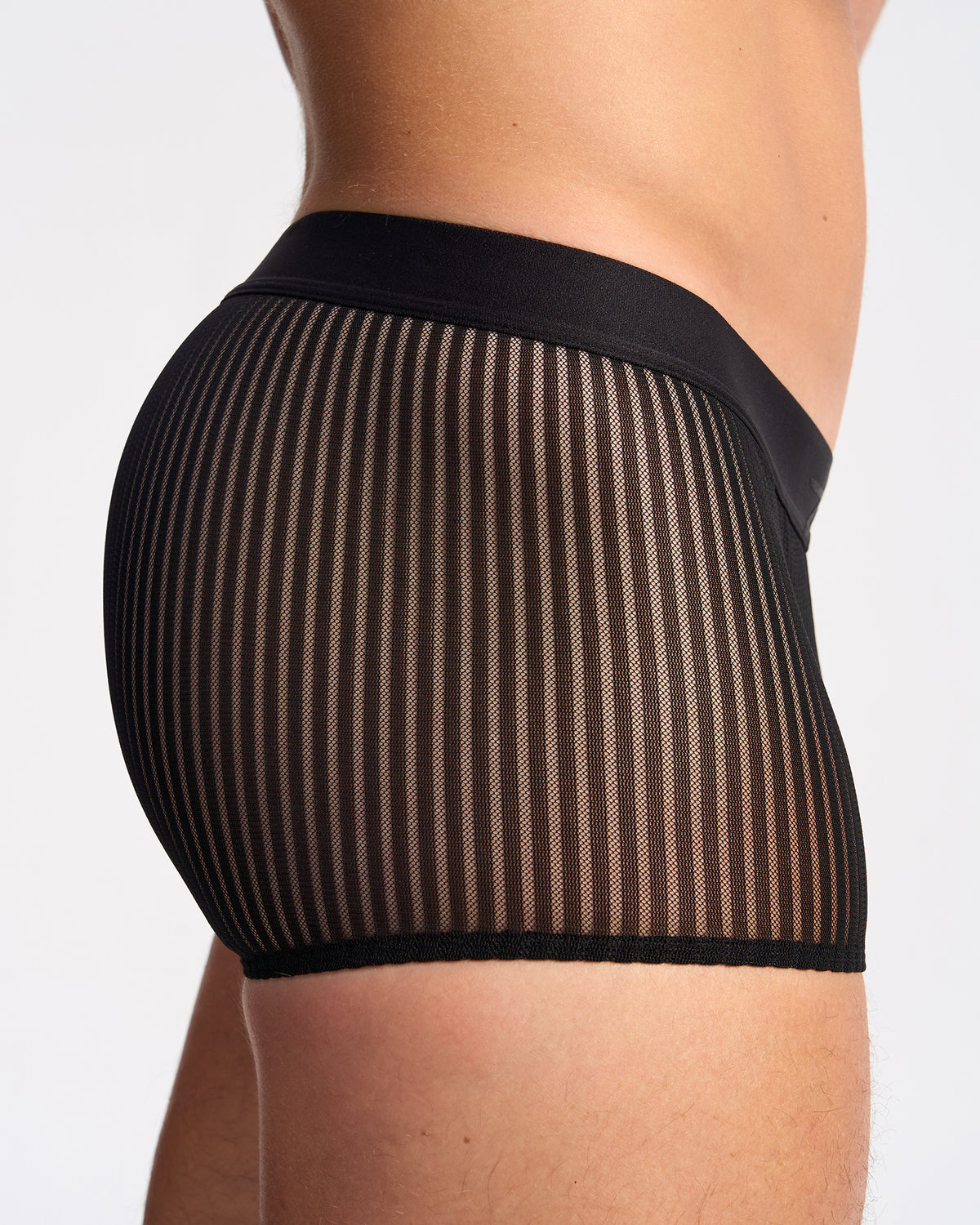 Casanova Trunk