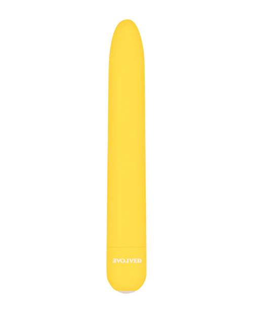 Sunny Sensations Vibrator