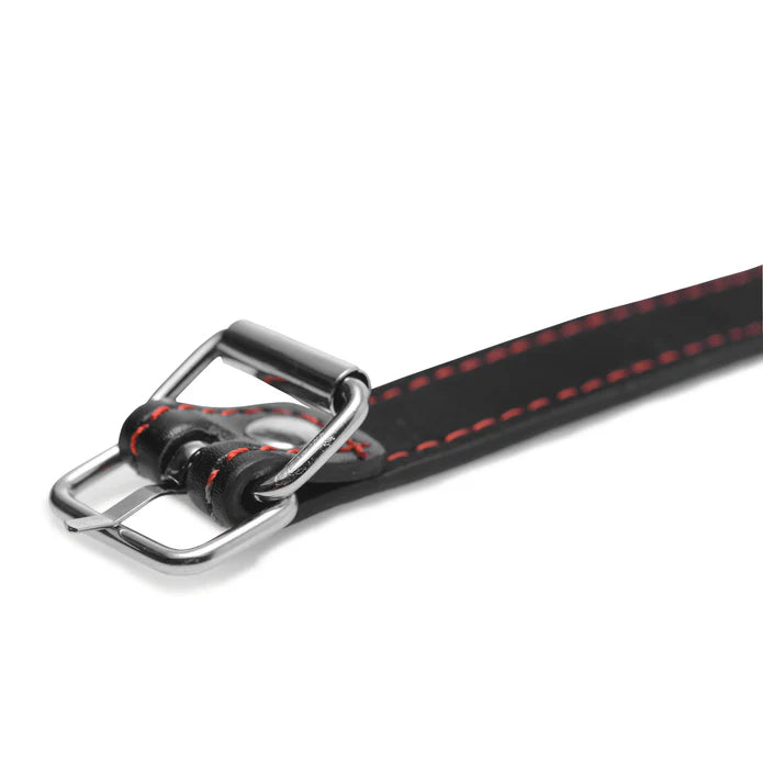 Master Series Hound Adjustable Dog Bone Gag