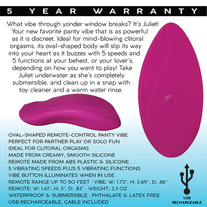 Intrigue Juliet Remote Panty Vibrator in Pink