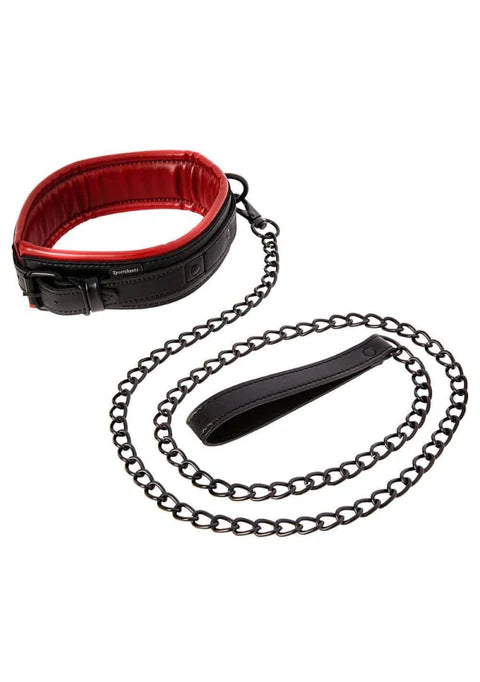 Saffron Collar and Leash