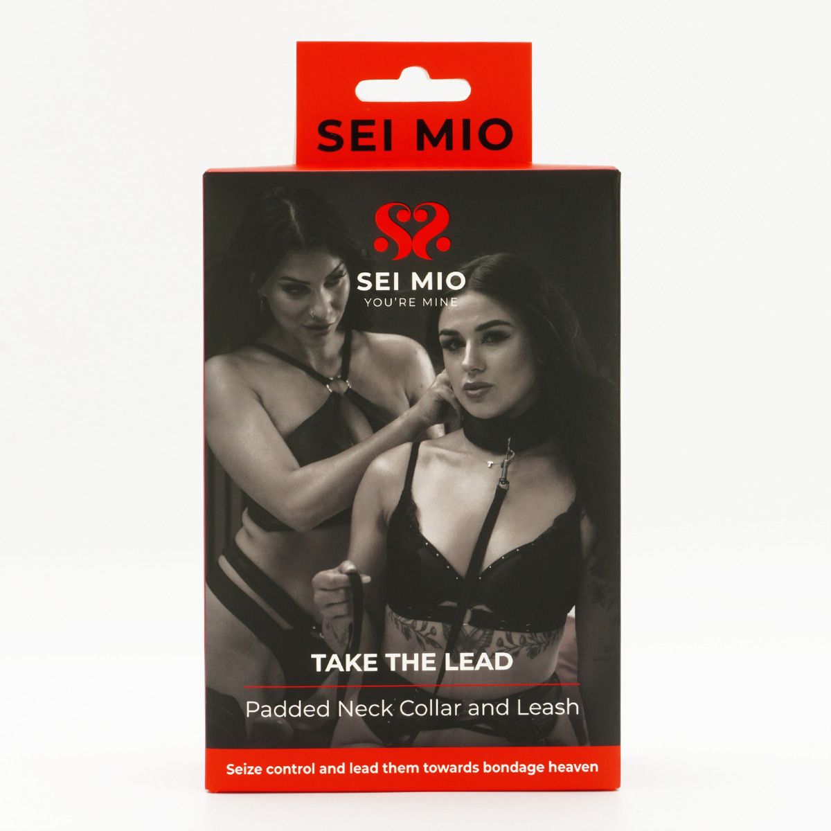 Padded Neck Collar & Leash
