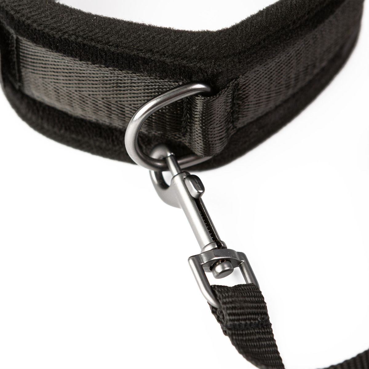 Padded Neck Collar & Leash