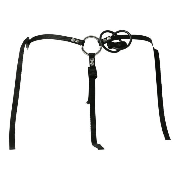 Ménage à Trois Strap On